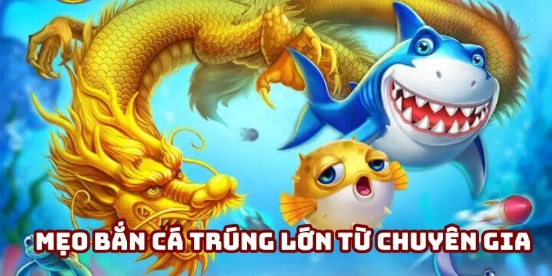 Mẹo bắn cá trúng lớn theo đàn từ chuyên gia